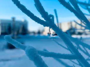 О проведении ряда мероприятий в сфере электронной коммерции и ритейла